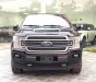 Ford F 150 2019 - Ford F150 Limitted 2020, tại Hà Nội, giá tốt, giao xe ngay toàn quốc