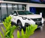 Peugeot 3008 1.6 AT 2019 - Bán xe Peugeot 3008 1.6 AT đời 2019, màu trắng