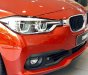 BMW 3 Series 320i 2019 - Bán BMW 3 Series 320i đời 2019, ưu đãi cực lớn