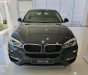 BMW X6   2019 - Cần bán BMW X6 XDrive35i đời 2019, nhập khẩu