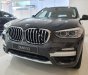 BMW X3   2019 - Bán BMW X3 năm sản xuất 2019, nhập khẩu  