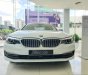 BMW 5 Series 2019 - BMW 5 Series 520i, màu trắng, nhập khẩu Đức, sang trọng, đẳng cấp