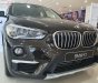 BMW X1 sDrive18i 2019 - Bán BMW X1 sDrive18i đời 2019, màu đen, nhập khẩu nguyên chiếc