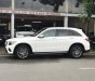 Mercedes-Benz GLC-Class GLC300 2019 - Bán ô tô Mercedes GLC300 năm sản xuất 2019, màu trắng