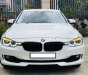 BMW 3 Series 320i 2014 - Bán BMW 3 Series 320i sản xuất 2014, màu trắng, nhập khẩu