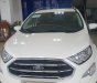 Ford EcoSport 2019 - Bán ô tô Ford EcoSport đời 2019
