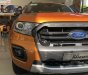 Ford Ranger Wildtrak 2.0L 4x4 AT 2019 - Bán Ford Ranger Wildtrak 2.0L 4x4 AT 2019, nhập khẩu, giá 888tr