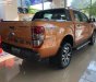 Ford Ranger Wildtrak 2.0L 4x4 AT 2019 - Bán Ford Ranger Wildtrak 2.0L 4x4 AT 2019, nhập khẩu, giá 888tr