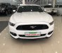 Ford Mustang 2017 - Cần bán xe Ford Mustang sản xuất 2017, màu trắng, nhập khẩu nguyên chiếc