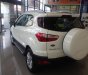 Ford EcoSport   Titanium 1.5  2019 - Bán Ford EcoSport Titanium 1.5 năm 2019, màu trắng