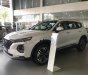 Hyundai Santa Fe 2.2L HTRAC 2019 - Cần bán xe Hyundai Santa Fe 2.2L HTRAC năm sản xuất 2019, màu trắng