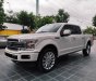 Ford F 150 2019 - Bán Ford F150 Limited 2019 USA giao xe ngay toàn quốc