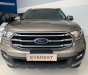 Ford Everest 2019 - Bán Ford Everest năm 2019, màu vàng, nhập khẩu, giá chỉ 949 triệu