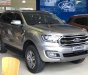 Ford Everest 2019 - Bán Ford Everest đời 2019, màu bạc, nhập khẩu