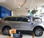 Ford Everest 2019 - Bán Ford Everest đời 2019, màu bạc, nhập khẩu