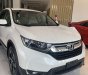 Honda CR V 2019 - Bán ô tô Honda CR V năm sản xuất 2019, màu trắng, xe nhập giá cạnh tranh