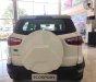 Ford EcoSport 2019 - Bán ô tô Ford EcoSport 2019, mới hoàn toàn