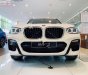 BMW X3 2019 - Cần bán BMW X3 xDrive20i đời 2019, màu trắng, xe nhập