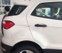 Ford EcoSport 2019 - Bán ô tô Ford EcoSport 2019, mới hoàn toàn