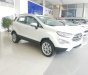 Ford EcoSport 2019 - Bán ô tô Ford EcoSport 2019, mới hoàn toàn