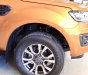 Ford Ranger 2019 - Cần bán Ford Ranger 2019 Wildtrak với chính sách ưu đãi đến 55 triệu, xe có đủ màu trong kho sẵn sàng giao ngay