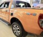 Ford Ranger 2019 - Cần bán Ford Ranger 2019 Wildtrak với chính sách ưu đãi đến 55 triệu, xe có đủ màu trong kho sẵn sàng giao ngay