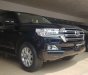 Toyota Land Cruiser 2016 - Bán Toyota Land Cruiser VX sản xuất 2016, đăng ký công ty