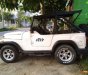 Jeep CJ 2005 - Cần bán lại xe Jeep CJ năm 2005, hai màu