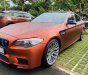 BMW 5 Series 2010 - Bán BMW 5 Series năm sản xuất 2010, nhập khẩu nguyên chiếc, giá cạnh tranh