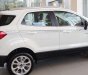 Ford EcoSport 2019 - Bán Ford EcoSport năm sản xuất 2019, màu trắng giá cạnh tranh