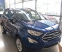 Ford EcoSport   2019 - Bán Ford EcoSport 2019, màu xanh lam, nhập khẩu, giá tốt