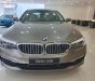 BMW 5 Series 520i 2019 - Bán BMW 5 Series 520i sản xuất năm 2019, màu xám, nhập khẩu nguyên chiếc