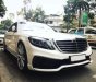 Mercedes-Benz S class  S500 2016 - Bán Mercedes S500 năm 2016, số tự động