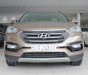 Hyundai Santa Fe 2.5 AT 2017 - Bán xe Hyundai Santa Fe 2.5 AT 2017, trả trước chỉ từ 285tr, hotline: 0985.190491 Ngọc