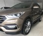 Hyundai Santa Fe 2017 - Cần bán xe Hyundai Santa Fe năm 2017, màu nâu xe gia đình 