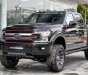 Ford F 150 Harley Davidson 2019 - Bán F-150 Harley Davidson Model 2019, màu đen, nhập khẩu nguyên chiếc, Mr Huân 0981010161