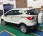 Ford EcoSport  Titanium 1.0  2019 - Cần bán Ford EcoSport Titanium 1.0 đời 2019, màu trắng, giá tốt