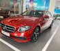 Mercedes-Benz E class 2019 - Bán xe Mercedes E200 AMG đời 2019 giá tốt