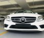 Mercedes-Benz C class 2019 - Cần bán Mercedes C200 sản xuất 2019, xe nhập