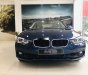 BMW 3 Series 2018 - Bán ô tô BMW 3 Series 320I đời 2018, màu xanh lam, nhập khẩu nguyên chiếc