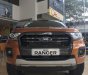 Ford Ranger 2019 - Ranger Wildtrak giảm giá kịch sàn, liên hệ 0865660630 để nhận báo giá và ưu đãi