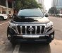 Toyota Land Cruiser Prado 2017 - Bán Toyota Land Cruiser Prado đời 2017, màu đen, nhập khẩu chính hãng giá cạnh tranh