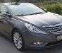 Hyundai Sonata 2010 - Bán Hyundai Sonata 2010, màu xám, nhập khẩu, chính chủ