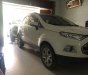 Ford EcoSport 2016 - Bán Ford EcoSport năm sản xuất 2016, màu trắng, giá tốt