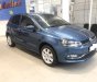 Volkswagen Polo 2017 - Bán Polo giá tốt, form nhỏ gọn, dễ đi lại, mới 90%, đảm bảo hài lòng