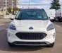 Ford Escape 2019 - Bán xe Ford Escape đời 2019, màu trắng, hỗ trợ tốt