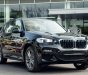 BMW X3 2019 - Cần bán gấp BMW X3 năm 2019, màu đen, nhập khẩu