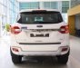 Ford Everest 2019 - Bán Ford Everest sản xuất 2019, nhập khẩu nguyên chiếc