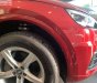 Audi Q5 2.0 AT 2018 - Bán xe Audi Q5 2.0 AT đời 2018, màu đỏ, nhập khẩu