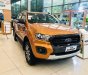 Ford Ranger 2019 - Bán Ford Ranger Wildtrak 2.0L 4x4 AT đời 2019, xe nhập